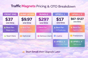 Traffic Magnets review